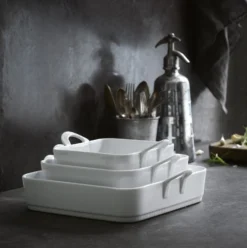 Pillivuyt Toulouse Kwartet Schotel Met Handvat 5 Pillivuyt Toulouse Kwartet Schotel Met Handvat -Filskars Winkel 37701 02 03 c4378e5708 scaled