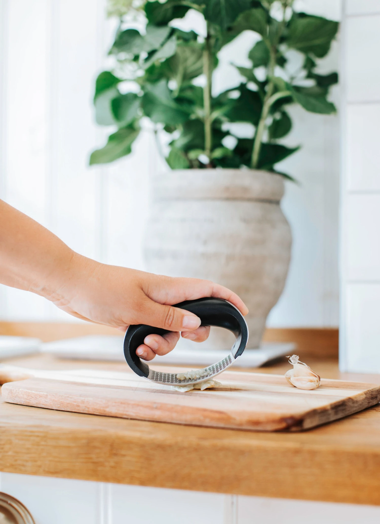 Dorre Garli Knofloofpers 2 Dorre Garli Knofloofpers - Afbeelding 2