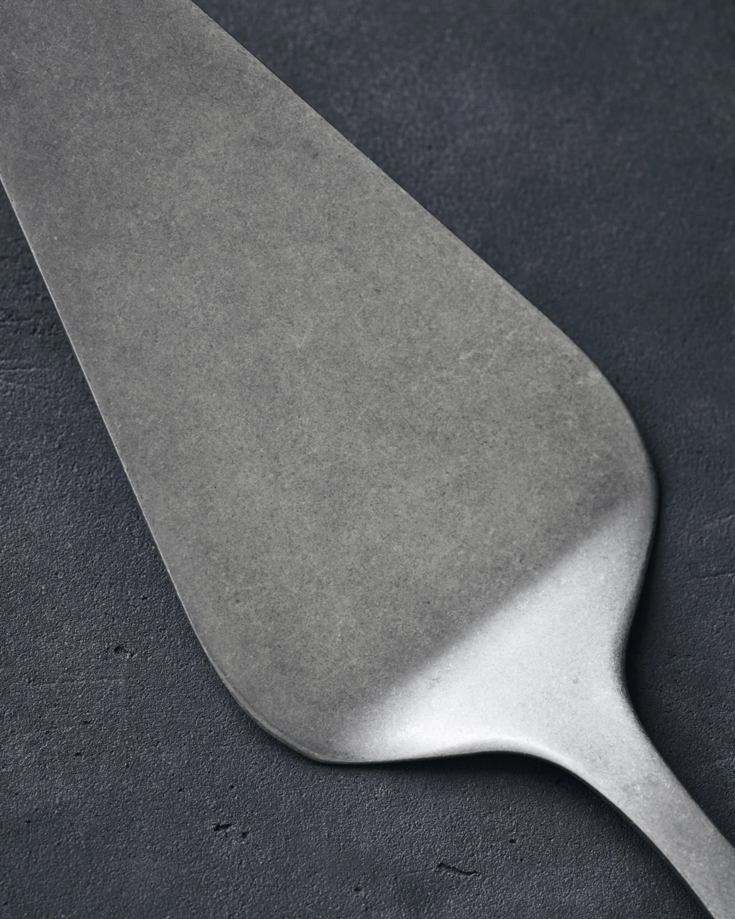 Nicolas Vahé Daily Taartschep Roestvrij Staal 3 Nicolas Vahé Daily Taartschep Roestvrij Staal - Afbeelding 3