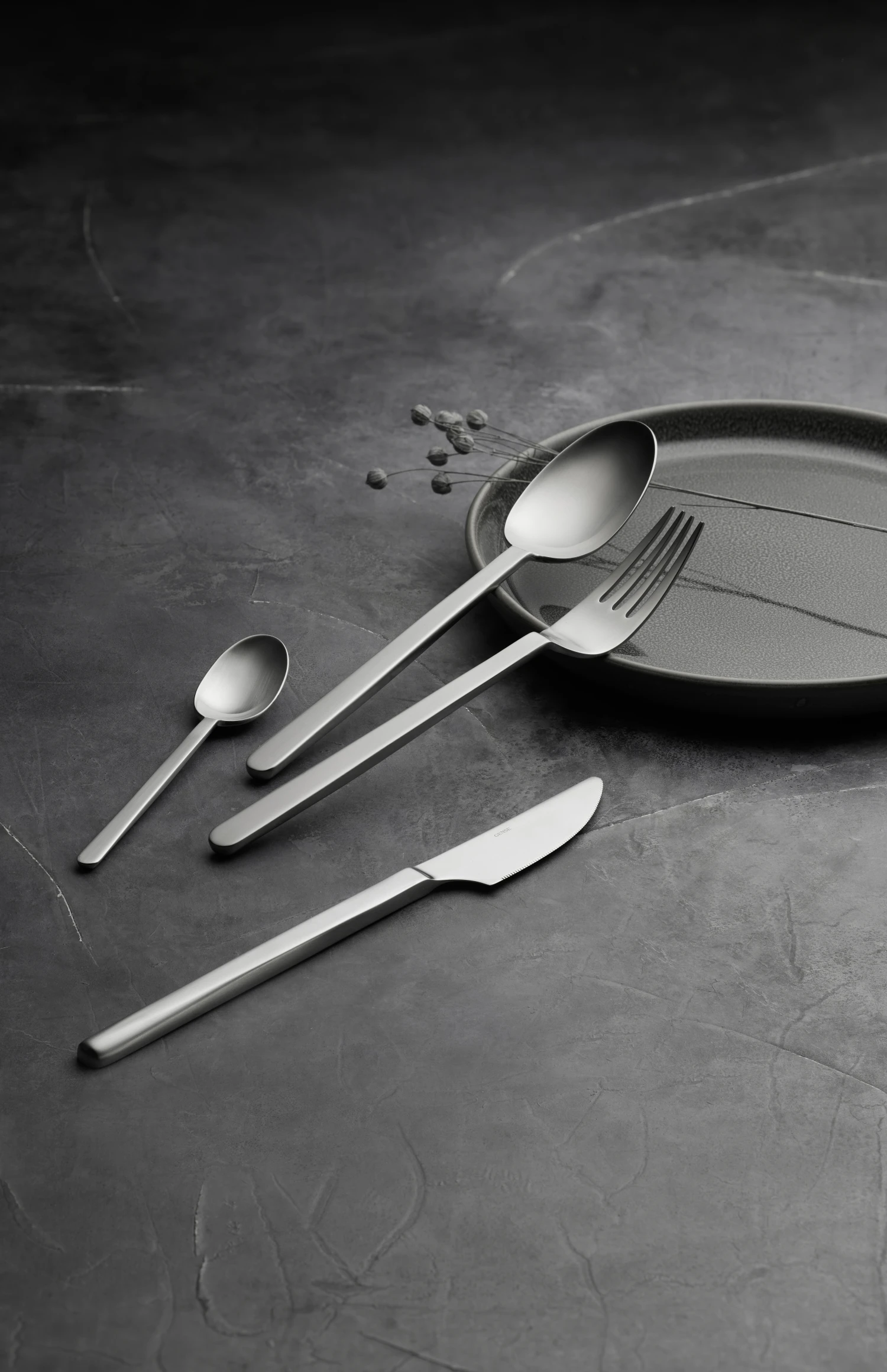 Gense Norm Theelepel 2 Gense Norm Theelepel - Afbeelding 2