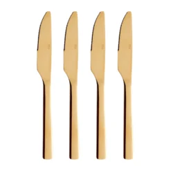 Aida Raw Dinermes 4-pack