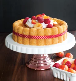 Nordic Ware Charlotte Bakvorm 7 Nordic Ware Charlotte Bakvorm -Filskars Winkel 573281 01 41 EnvironmentImage 2db9a8cc8e scaled