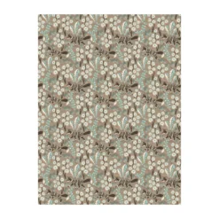 Stjärnspeja Tafelzeil