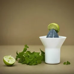 RIG TIG Rig-Tig Sinaasappelpers -Filskars Winkel p 19074 01 03 0fd7036625